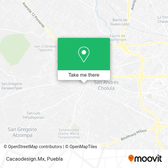 Cacaodesign.Mx map