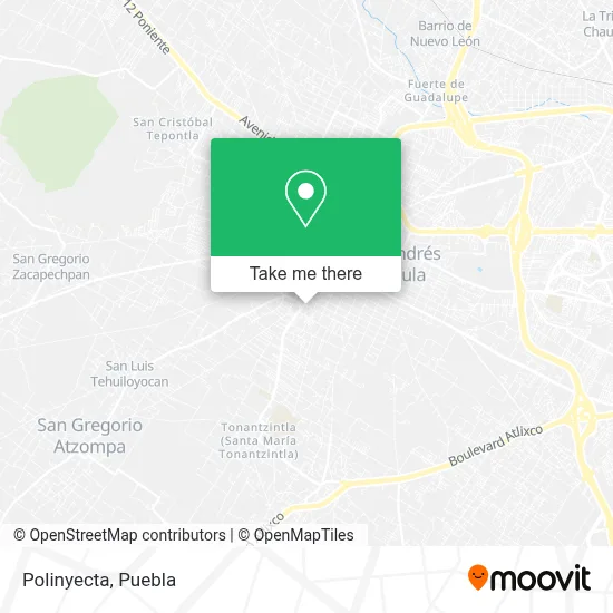 Polinyecta map