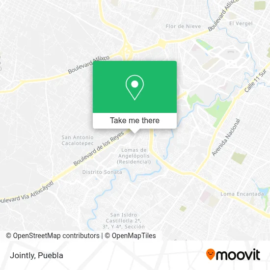 Jointly map