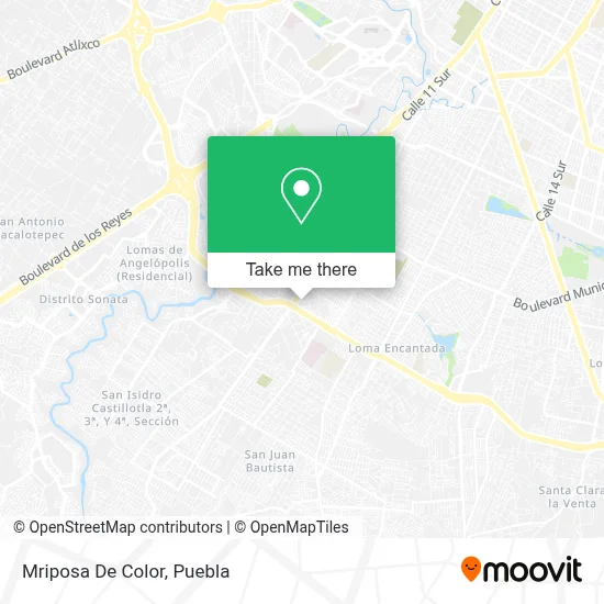 Mriposa De Color map