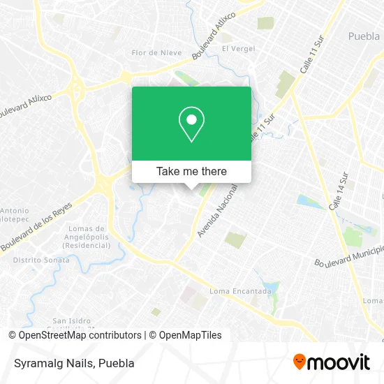 Syramalg Nails map