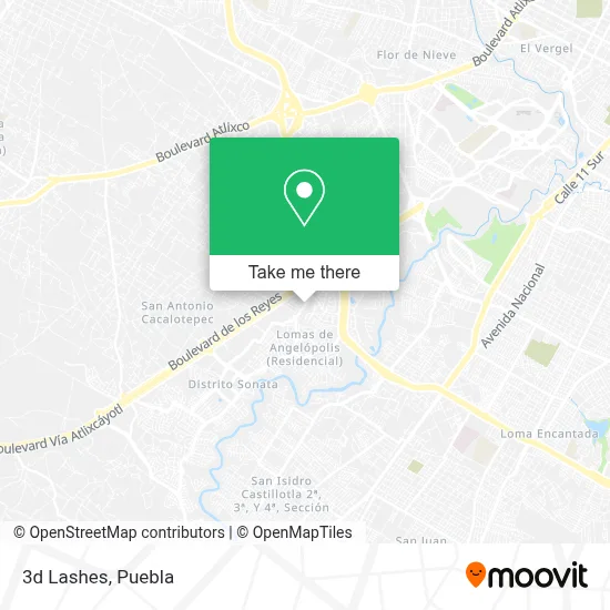 3d Lashes map