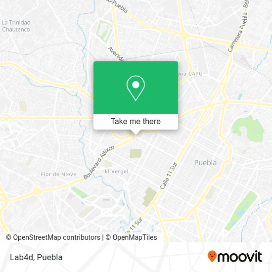 Lab4d map