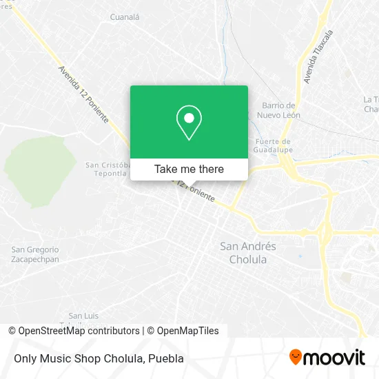 Only Music Shop Cholula map