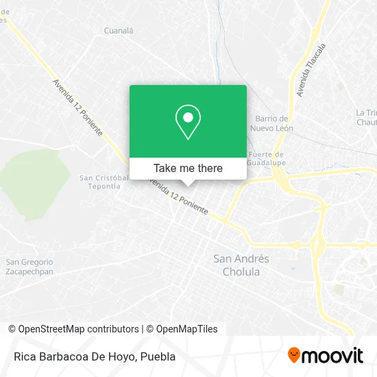 Rica Barbacoa De Hoyo map