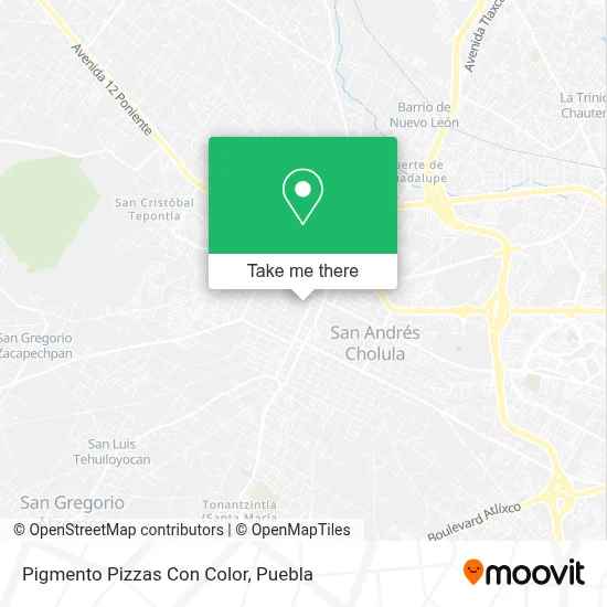 Pigmento Pizzas Con Color map