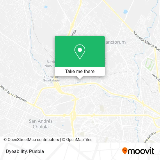 Dyeability map