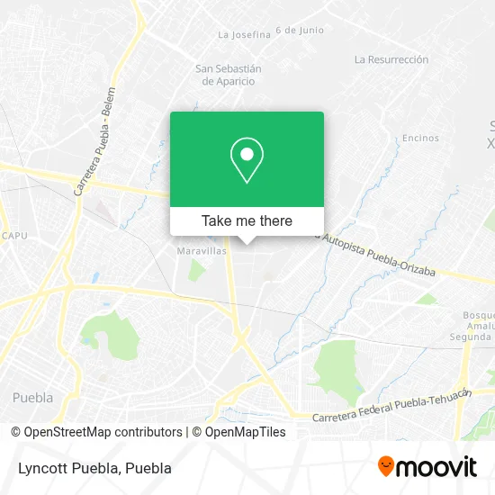 Lyncott Puebla map