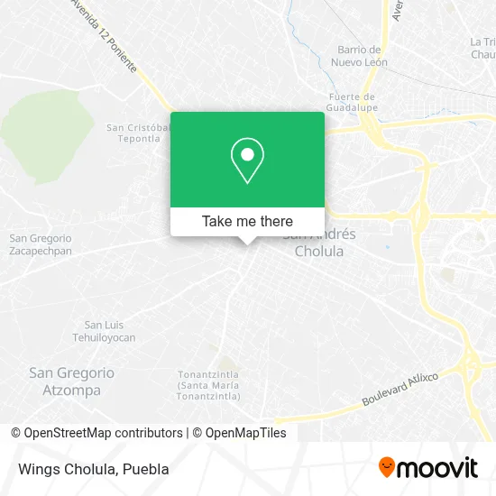 Wings Cholula map