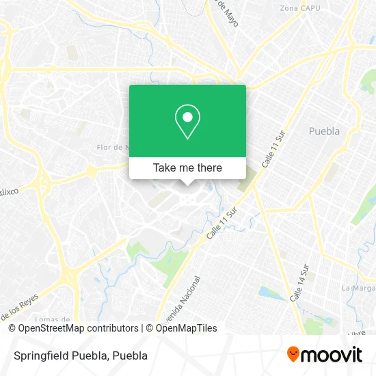 Springfield Puebla map