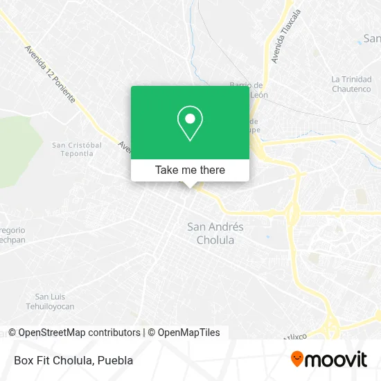 Box Fit Cholula map