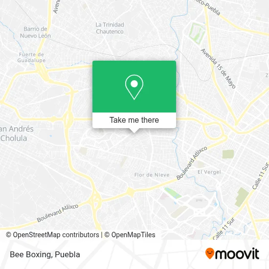 Bee Boxing map