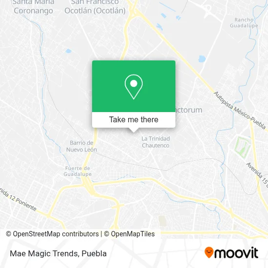 Mae Magic Trends map