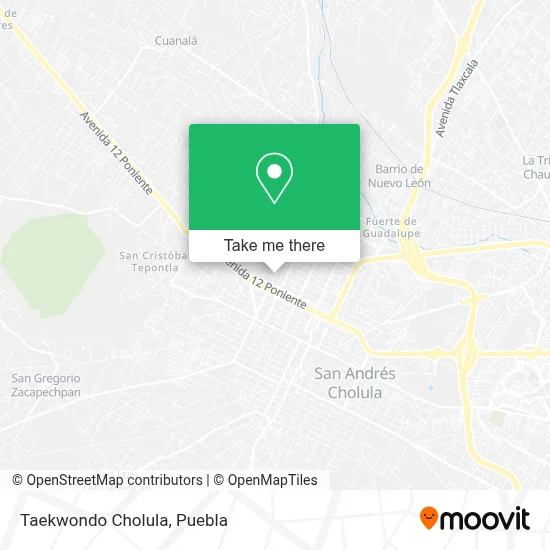 Taekwondo Cholula map