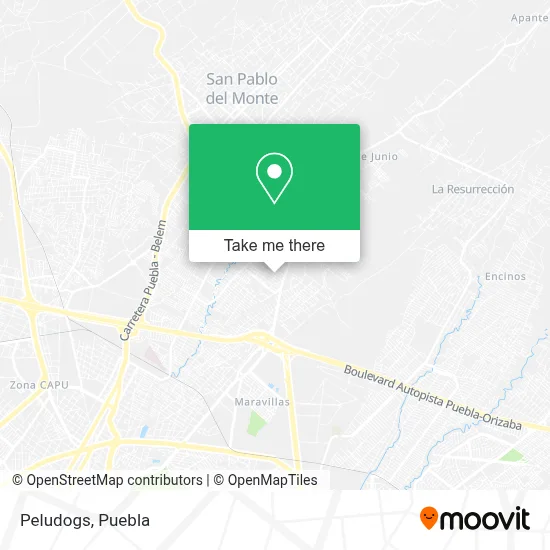 Peludogs map