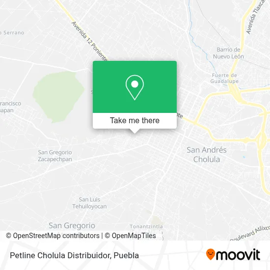 Petline Cholula Distribuidor map