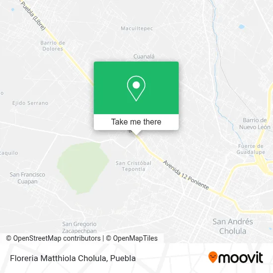 Floreria Matthiola Cholula map