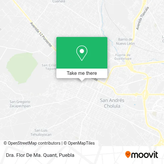 Dra. Flor De Ma. Quant map
