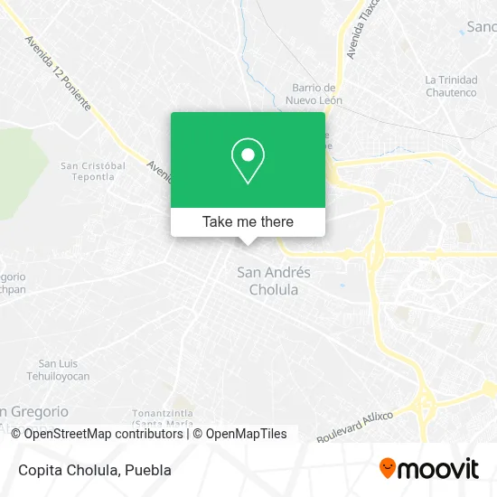 Copita Cholula map