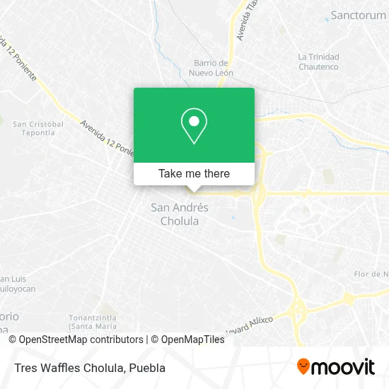 Tres Waffles Cholula map
