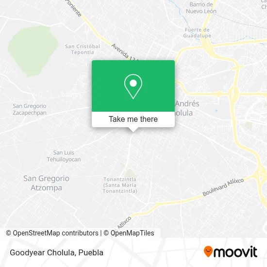 Goodyear Cholula map