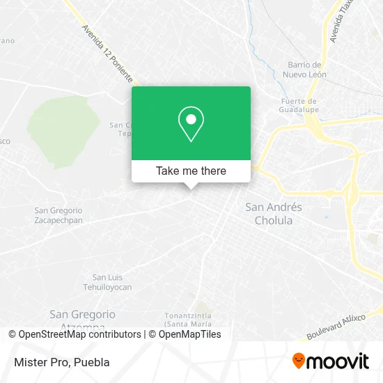 Mister Pro map