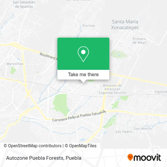 Autozone Puebla Forests map