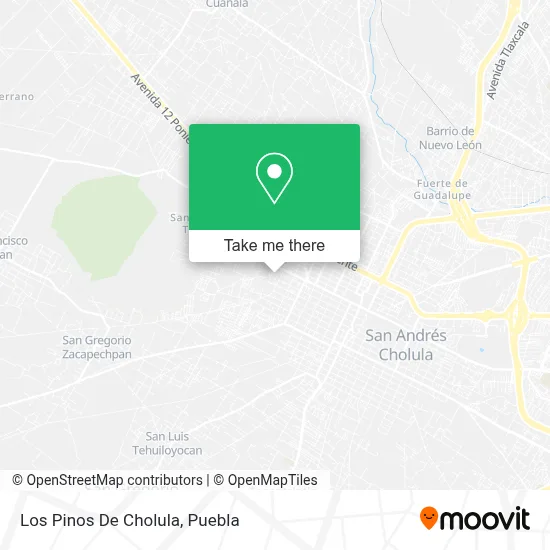 Los Pinos De Cholula map