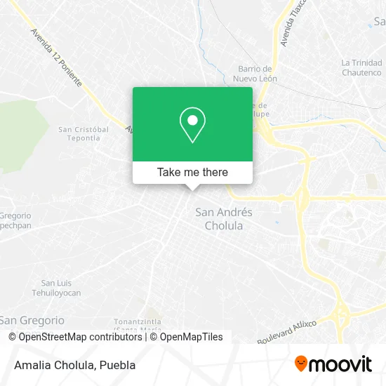 Amalia Cholula map