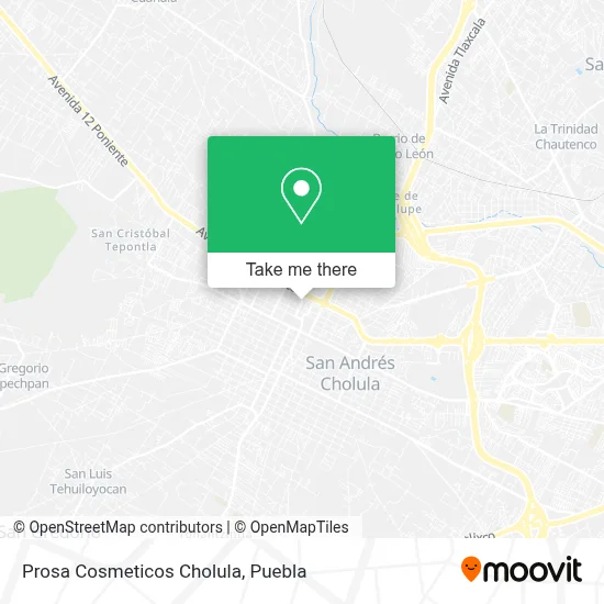 Prosa Cosmeticos Cholula map