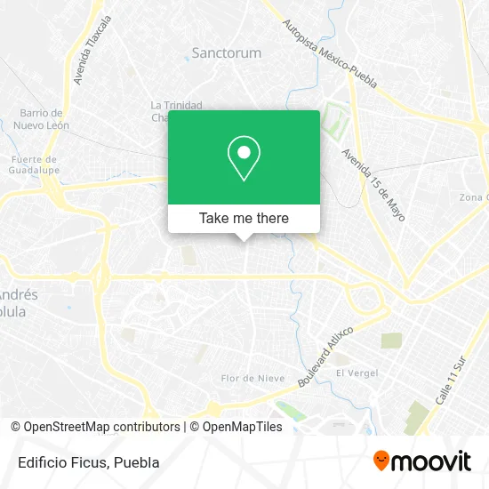 Edificio Ficus map