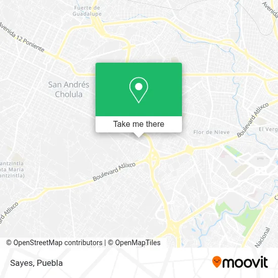 Sayes map