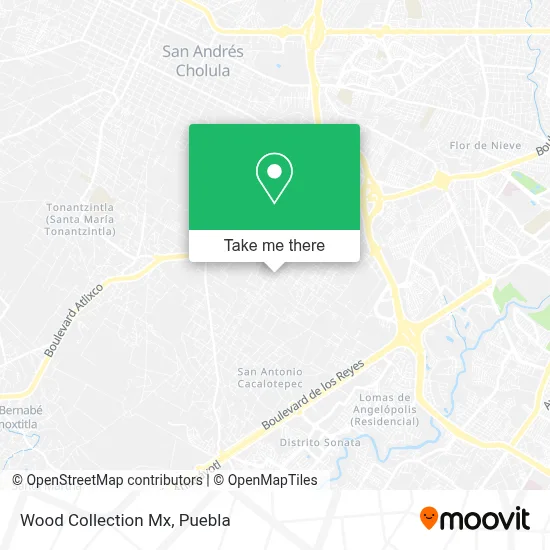 Wood Collection Mx map