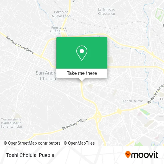 Toshi Cholula map