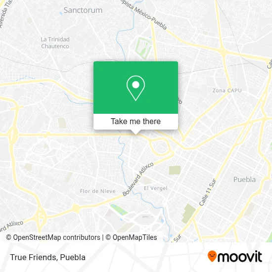 True Friends map