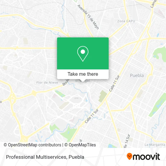 Professional Multiservices map