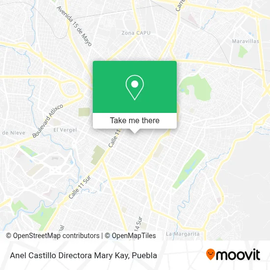 Anel Castillo Directora Mary Kay map