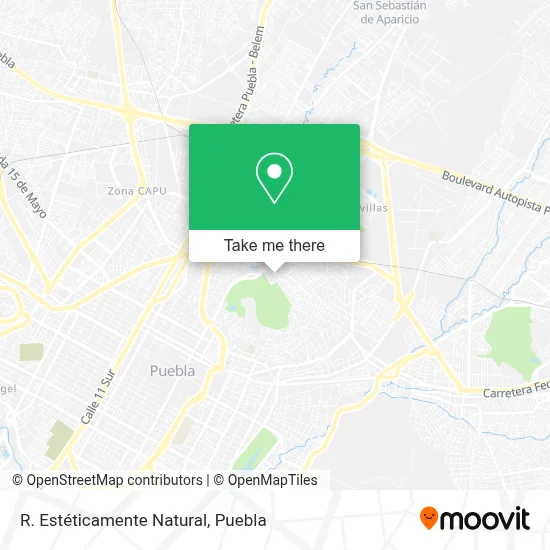 R. Estéticamente Natural map