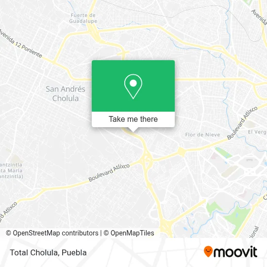 Total Cholula map