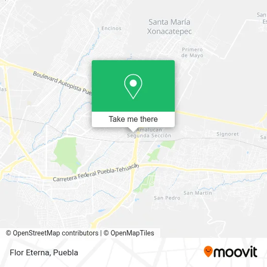 Flor Eterna map