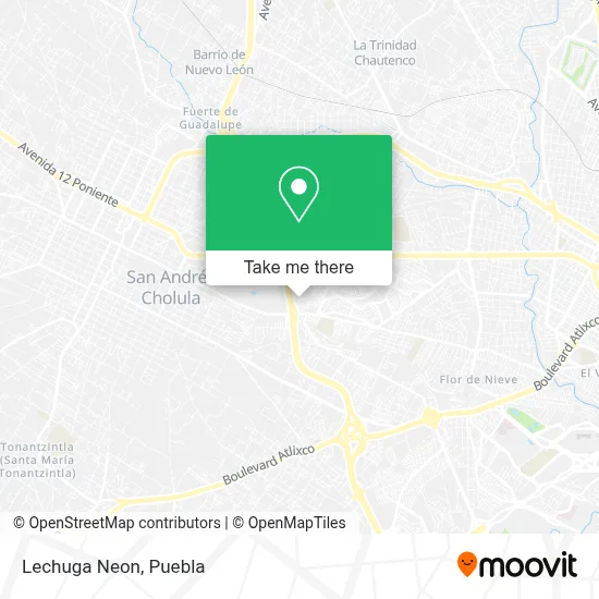 Lechuga Neon map