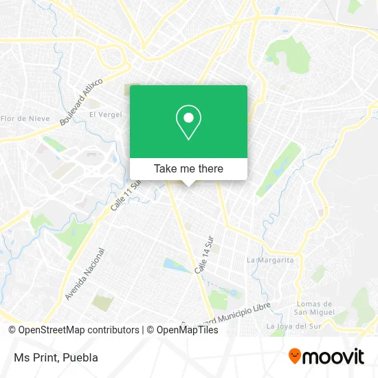 Ms Print map