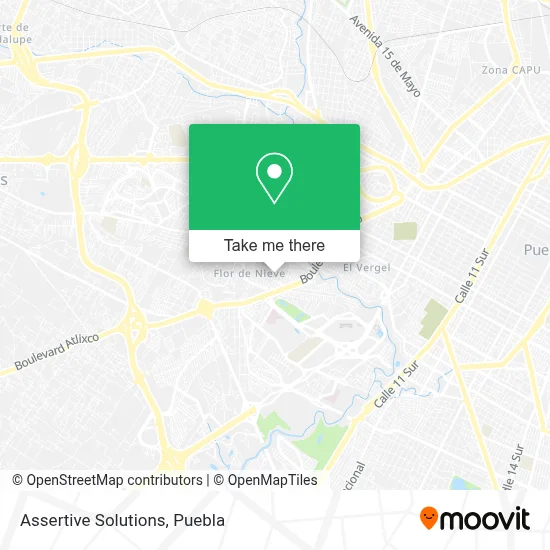 Assertive Solutions map