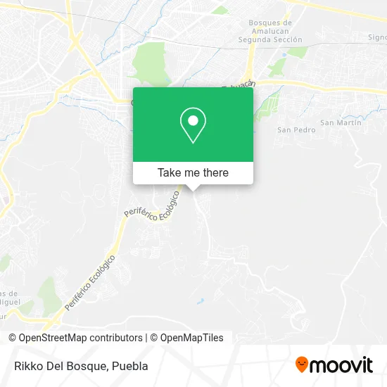 Rikko Del Bosque map