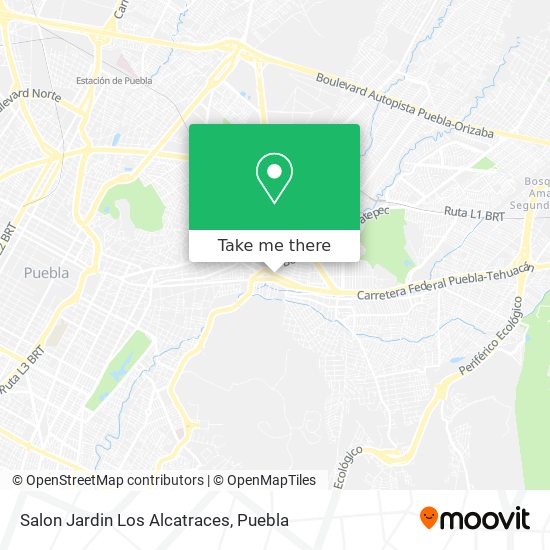 Salon Jardin Los Alcatraces map