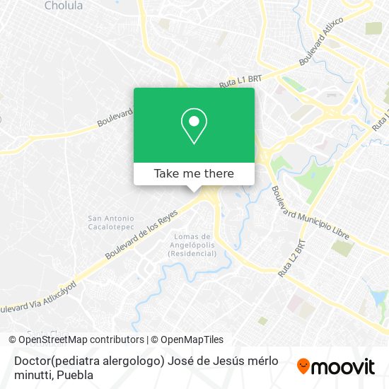 Doctor(pediatra alergologo) José de Jesús mérlo minutti map