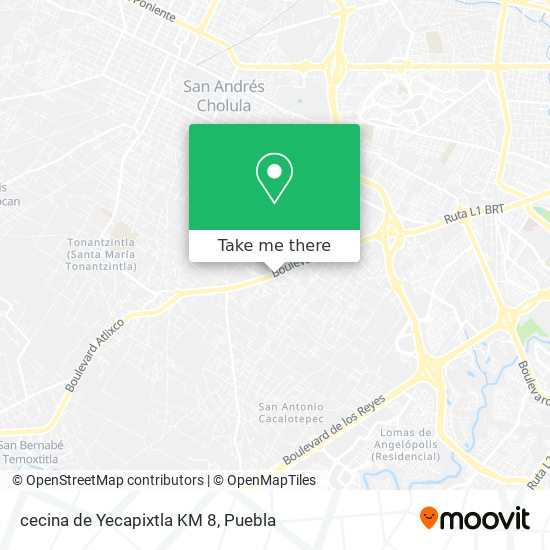cecina de Yecapixtla KM 8 map