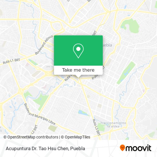 Mapa de Acupuntura  Dr. Tao Hsu Chen