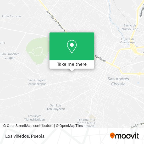 Mapa de Los viñedos