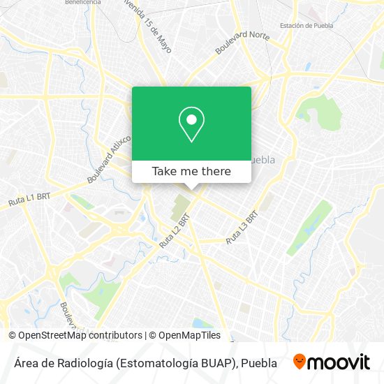 Mapa de Área de Radiología (Estomatología BUAP)